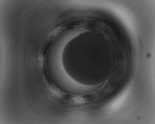 X0000101460767200807071430