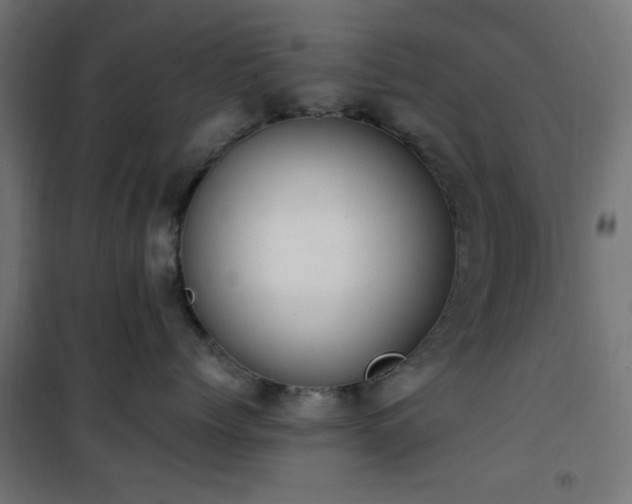 X0000101460768200807071430