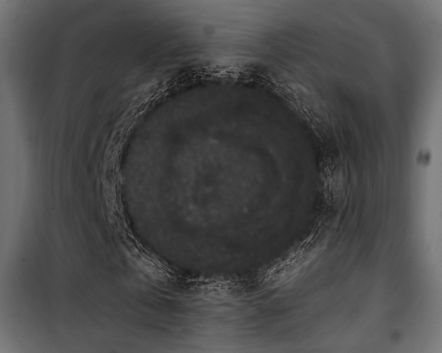 X0000101460769200807071430