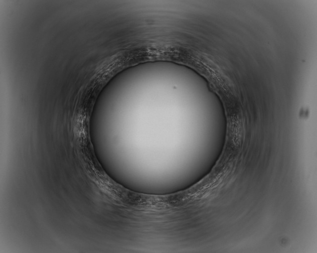 X0000101460770200807071430
