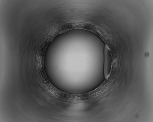 X0000101460772200807071430