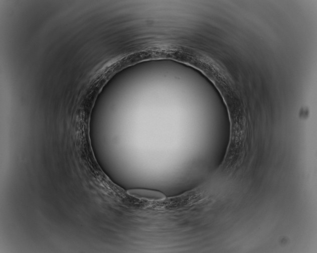 X0000101460773200807071430