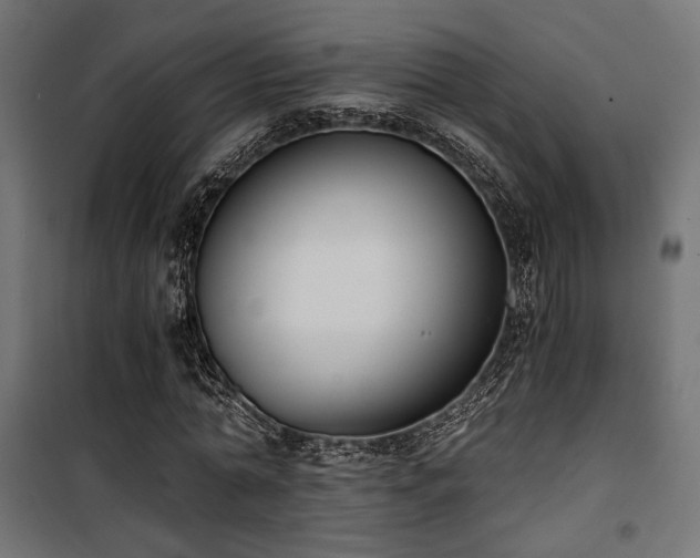 X0000101460774200807071430