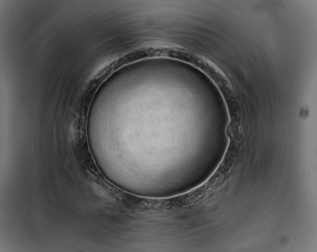 X0000101460775200807071430