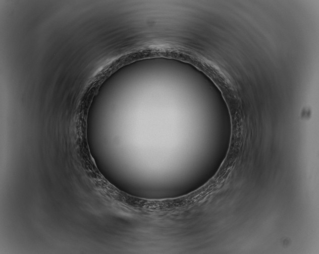 X0000101460776200807071430