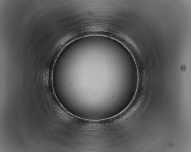 X0000101460777200807071430