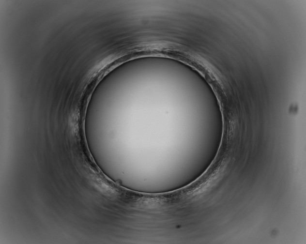X0000101460778200807071430