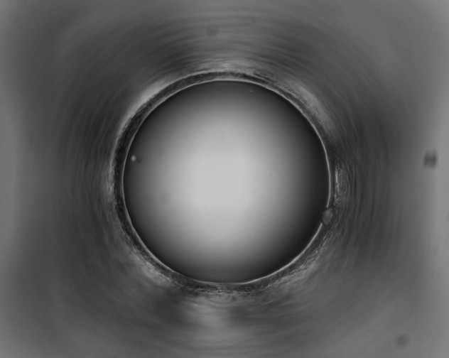 X0000101460780200807071430