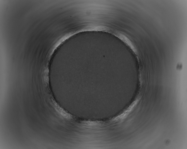 X0000101460781200807071430