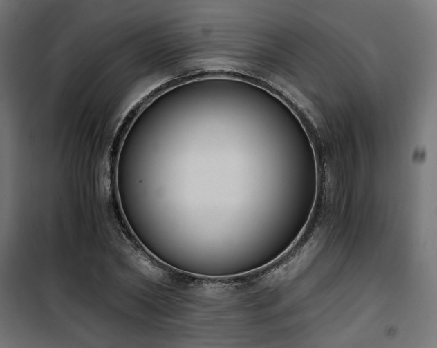 X0000101460782200807071430