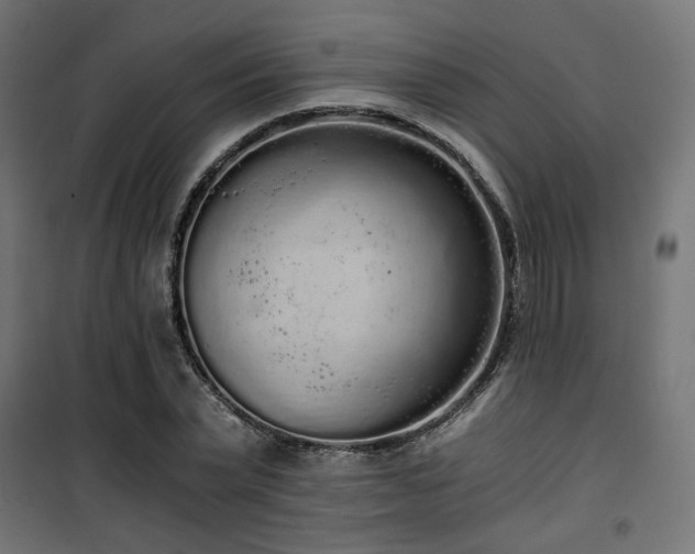 X0000101460783200807071430