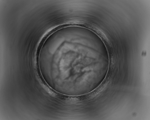 X0000101460784200807071430