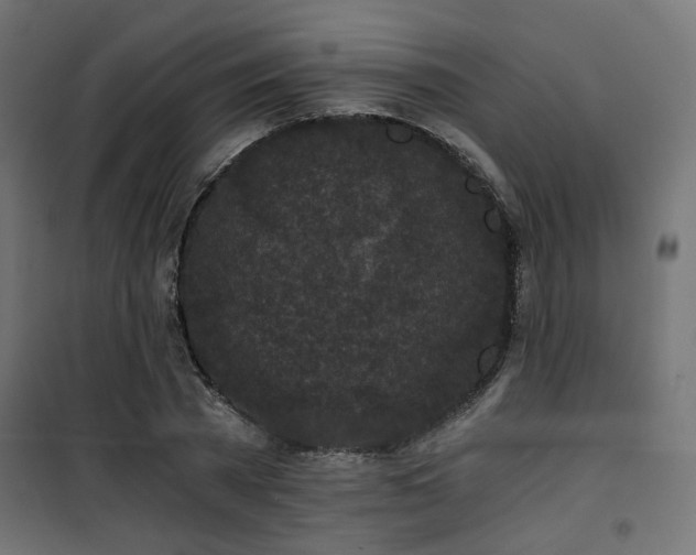 X0000101460785200807071430