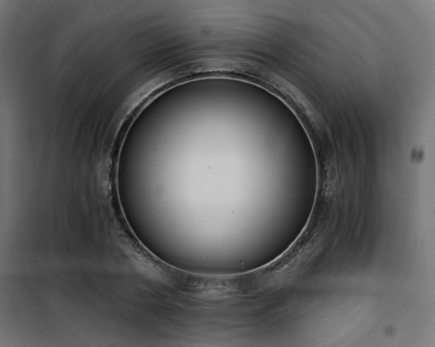 X0000101460786200807071430