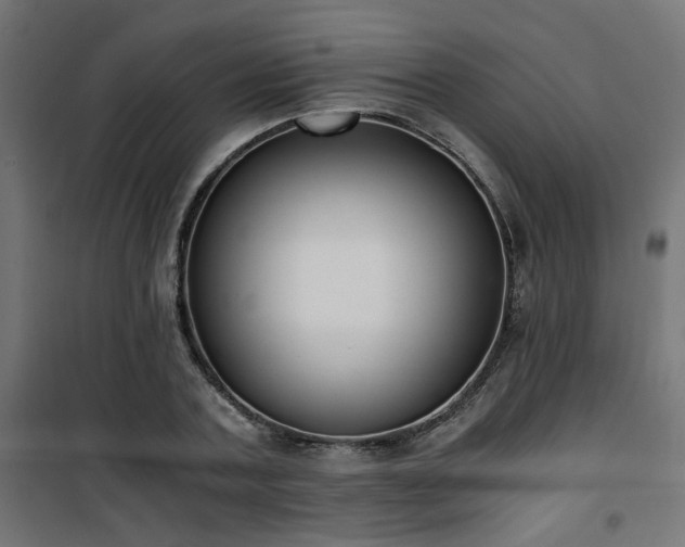 X0000101460787200807071430