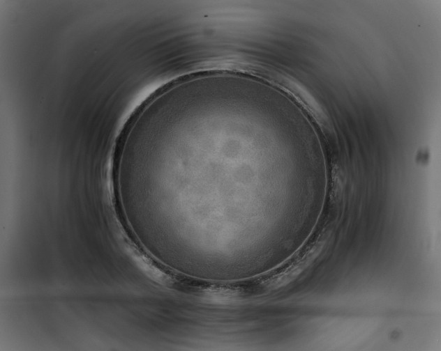 X0000101460788200807071430