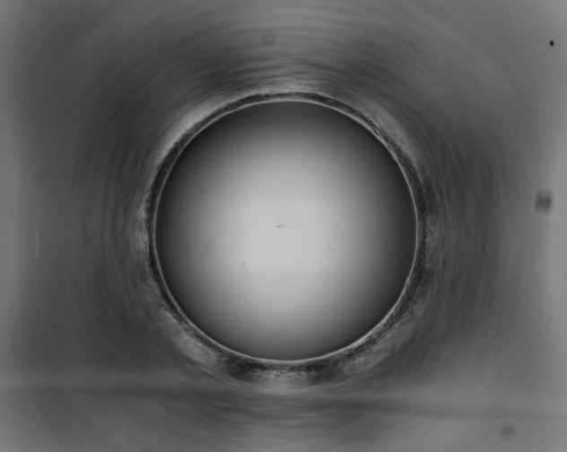 X0000101460789200807071430