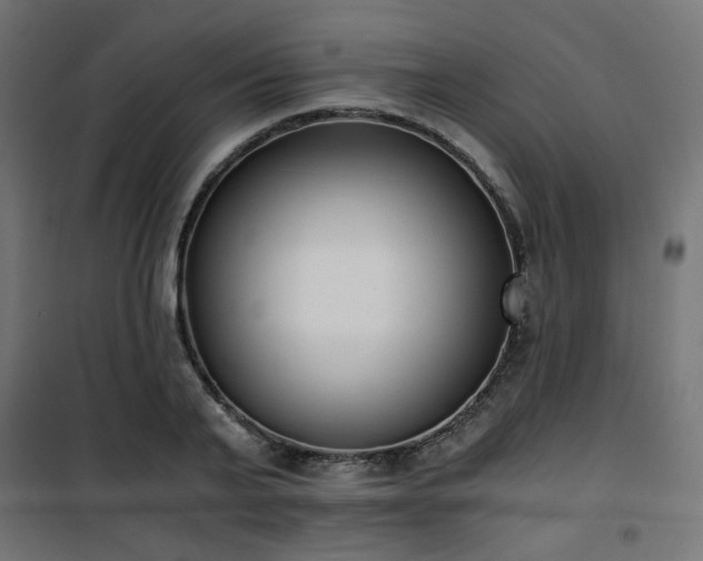 X0000101460791200807071429