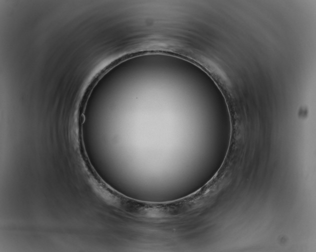 X0000101460792200807071429