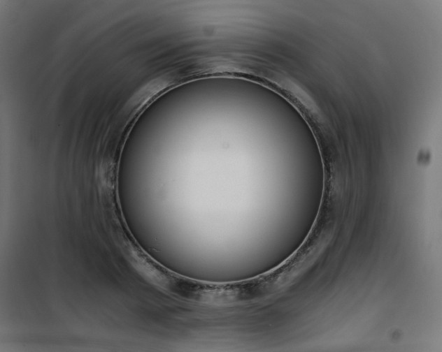 X0000101460793200807071429
