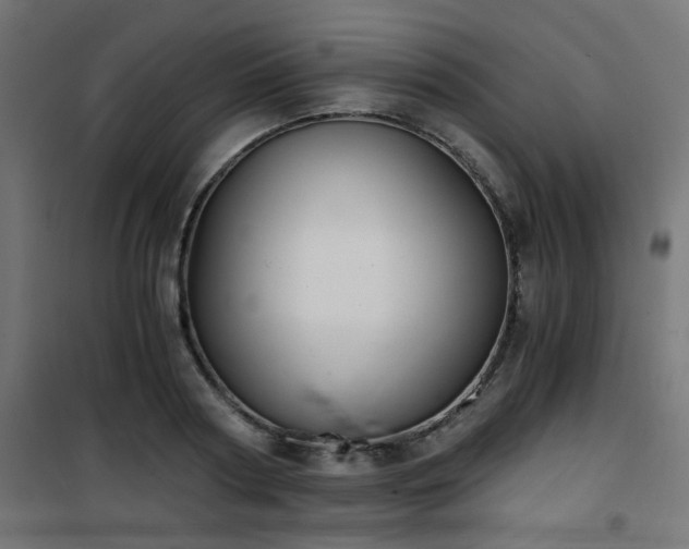 X0000101460794200807071429