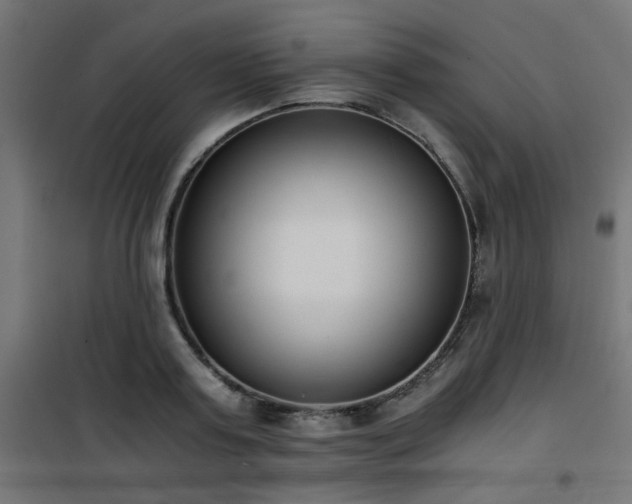 X0000101460795200807071429