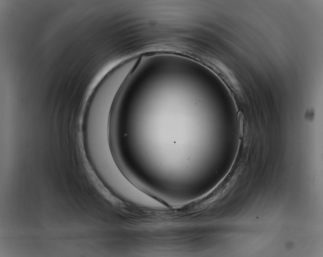 X0000101460796200807071429