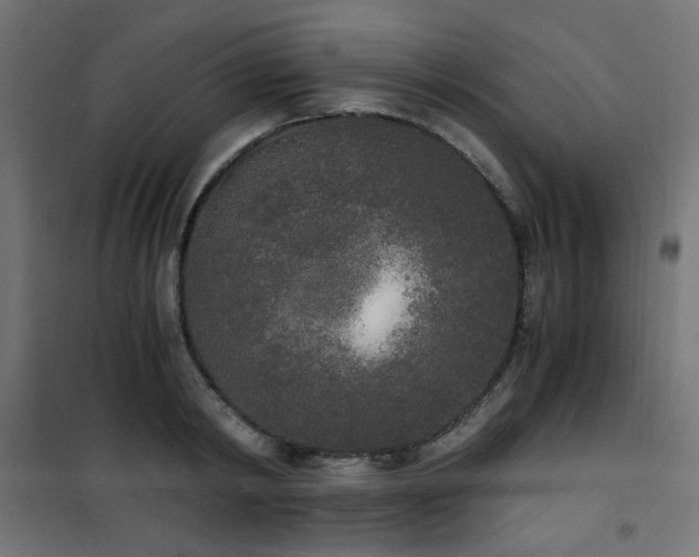 X0000101460798200807071429