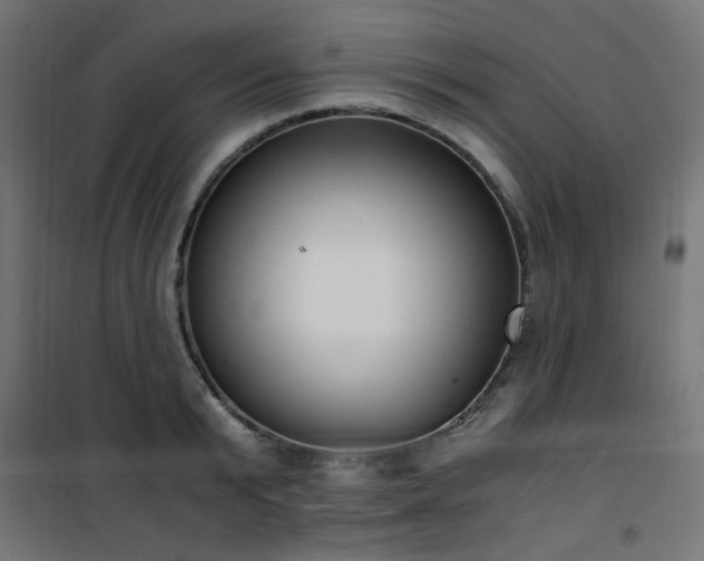 X0000101460799200807071429