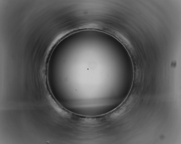 X0000101460800200807071429
