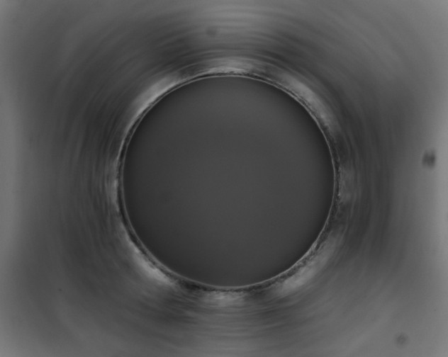X0000101460802200807071429
