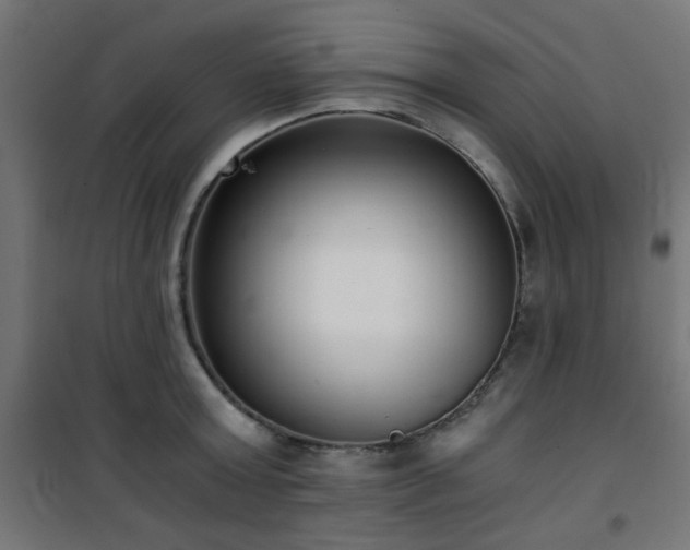 X0000101460803200807071429