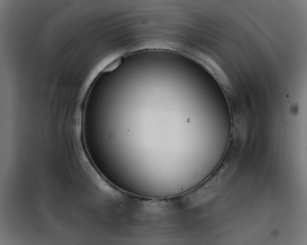 X0000101460804200807071429