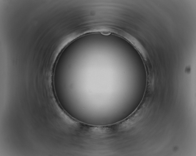 X0000101460805200807071429
