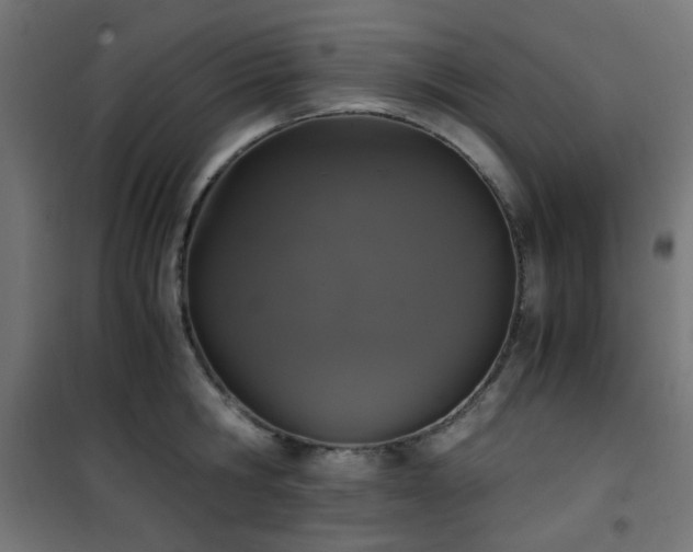 X0000101460806200807071429