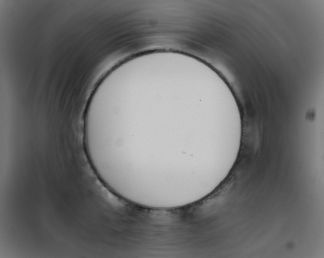 X0000101460807200807071429