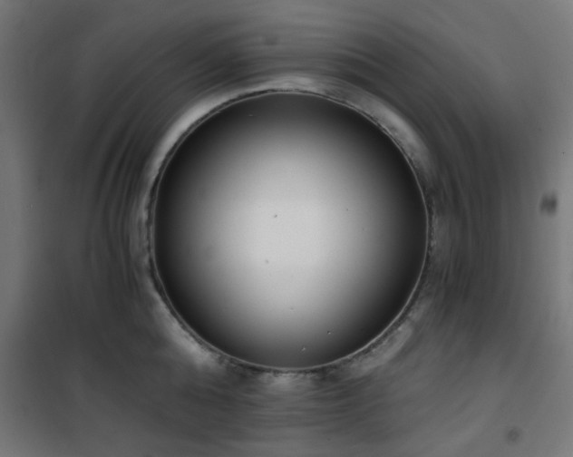 X0000101460808200807071429
