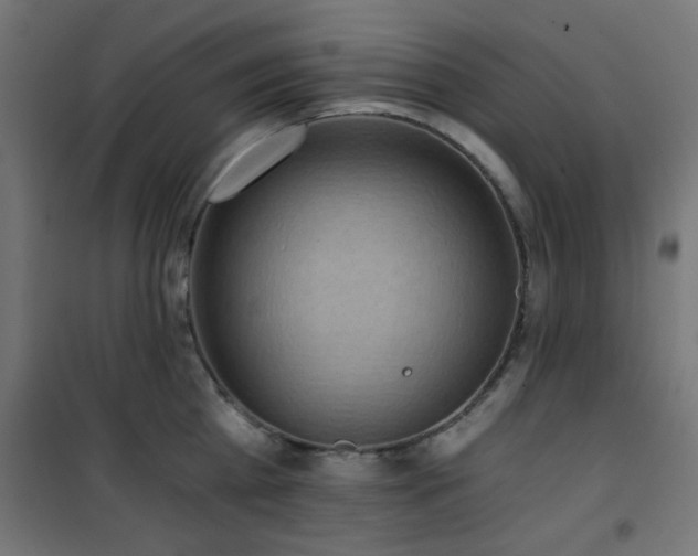 X0000101460809200807071429