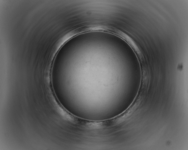 X0000101460810200807071429