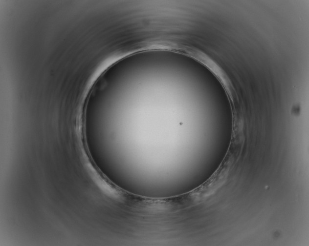 X0000101460811200807071429