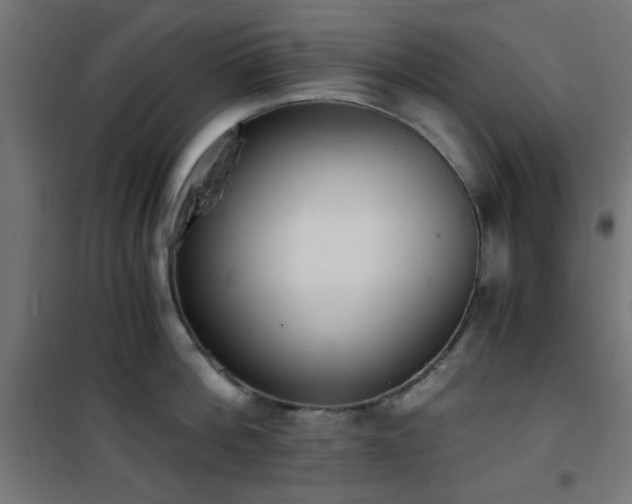 X0000101460812200807071429