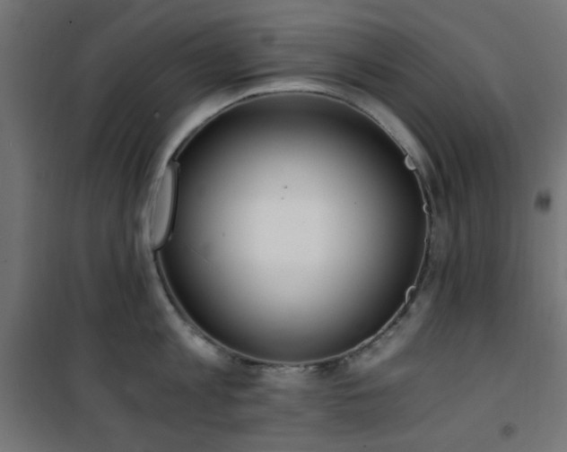 X0000101460813200807071429