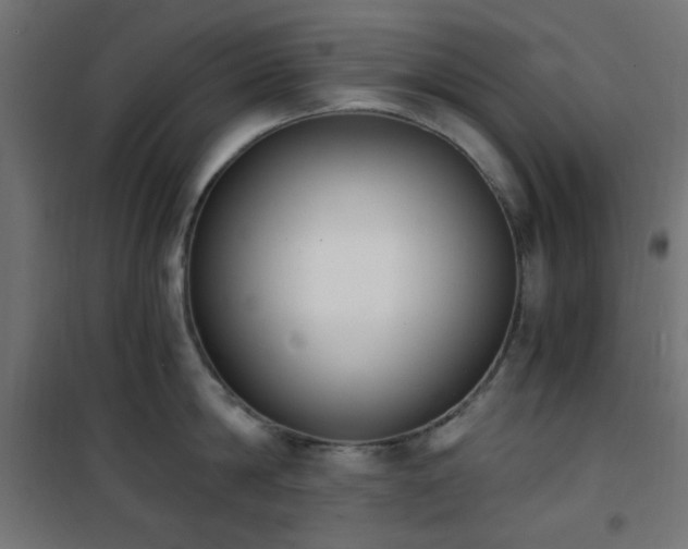 X0000101460814200807071429
