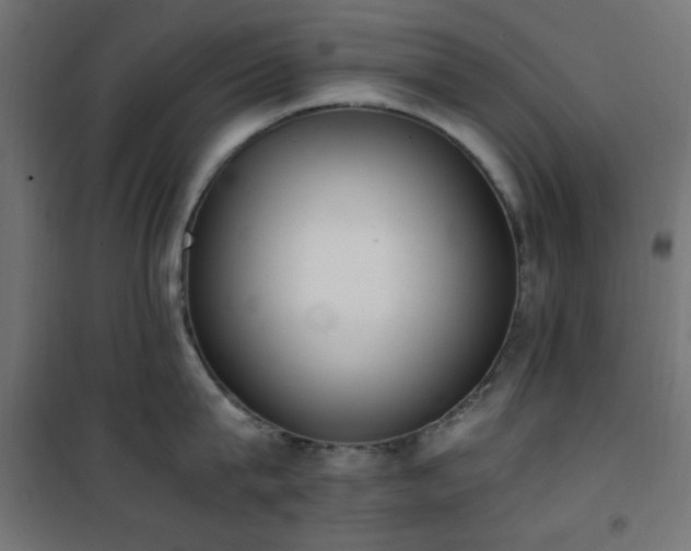 X0000101460815200807071429