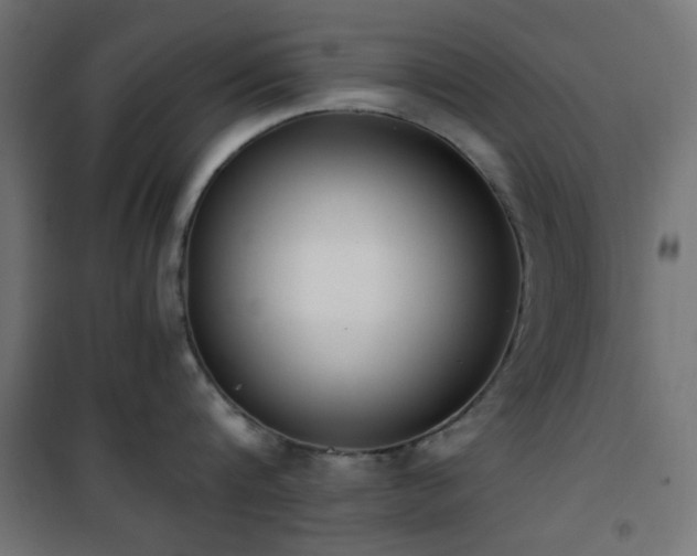 X0000101460816200807071429