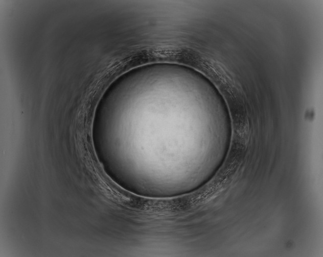 X0000101460817200807071428