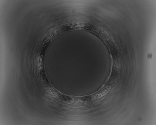 X0000101460818200807071428