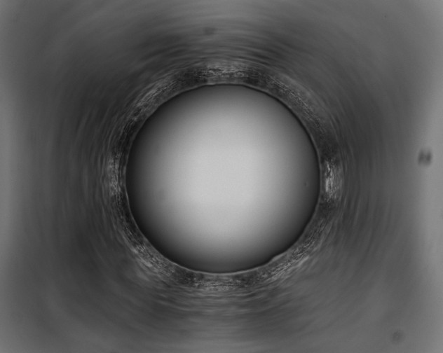 X0000101460819200807071428