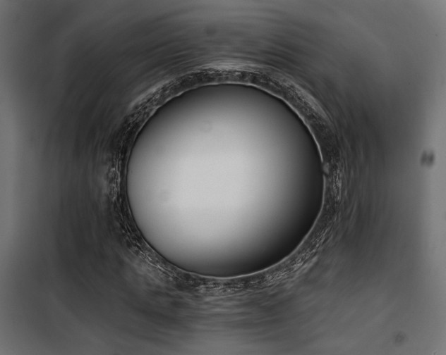 X0000101460821200807071428