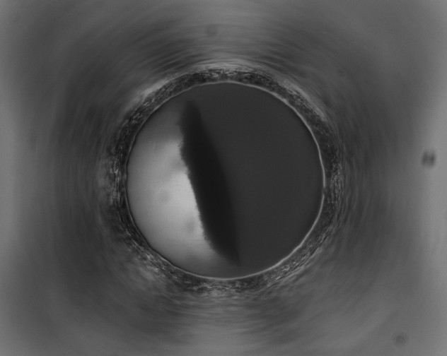 X0000101460822200807071428